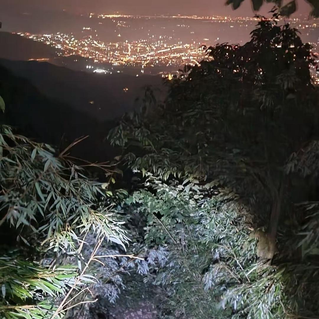 大山好货1