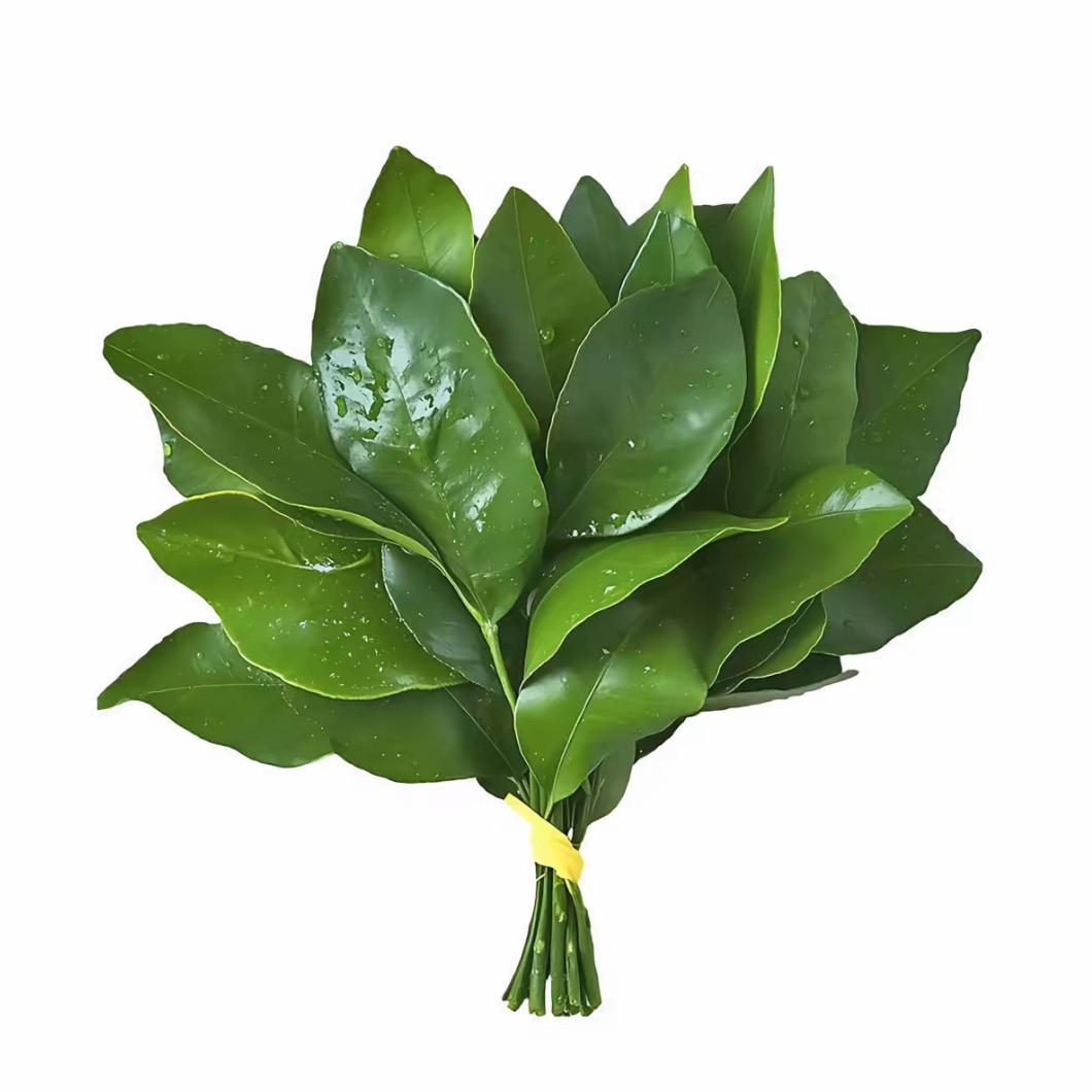 叭碗.