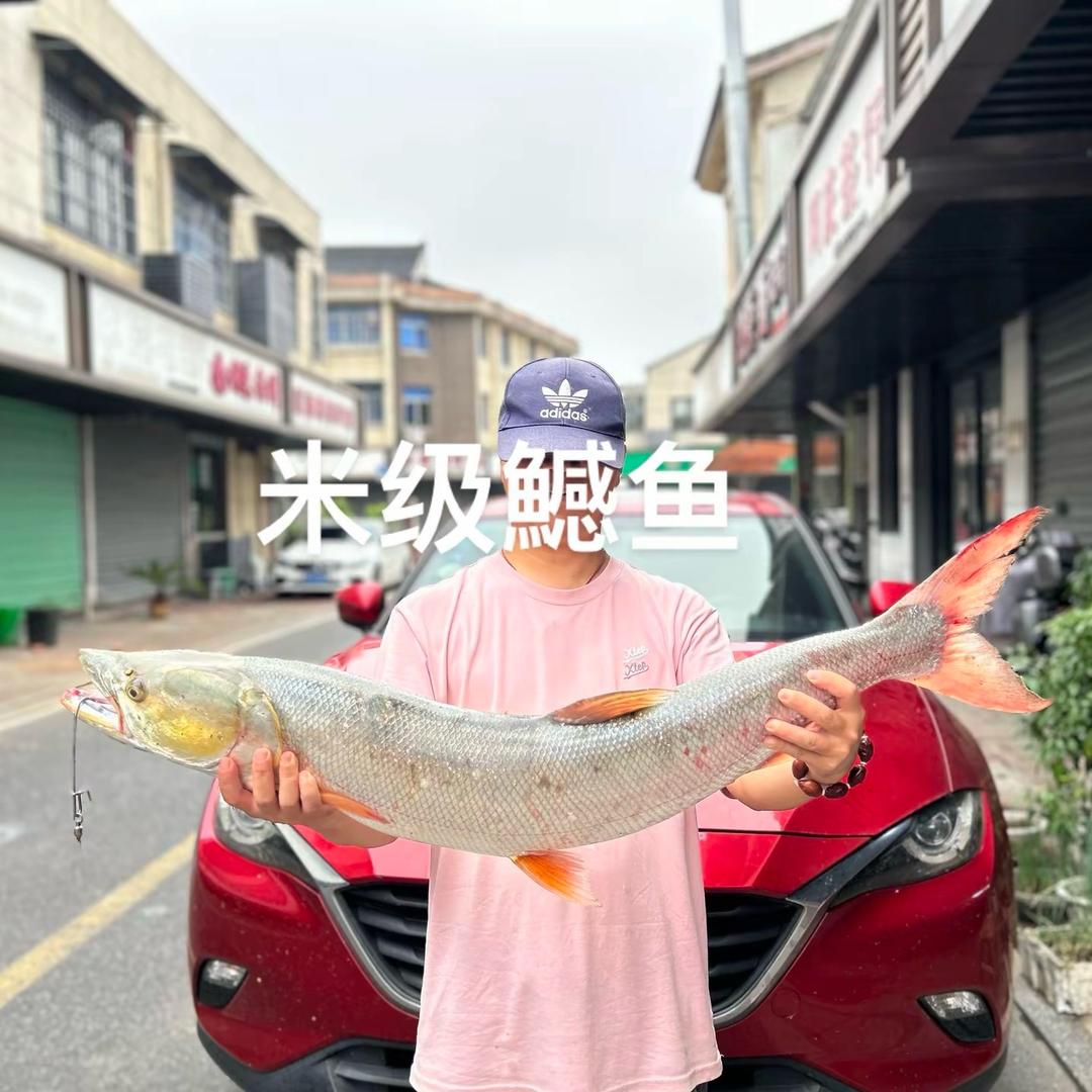 许小哥路亚