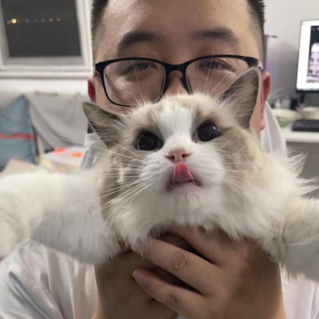李阳疯狂养猫