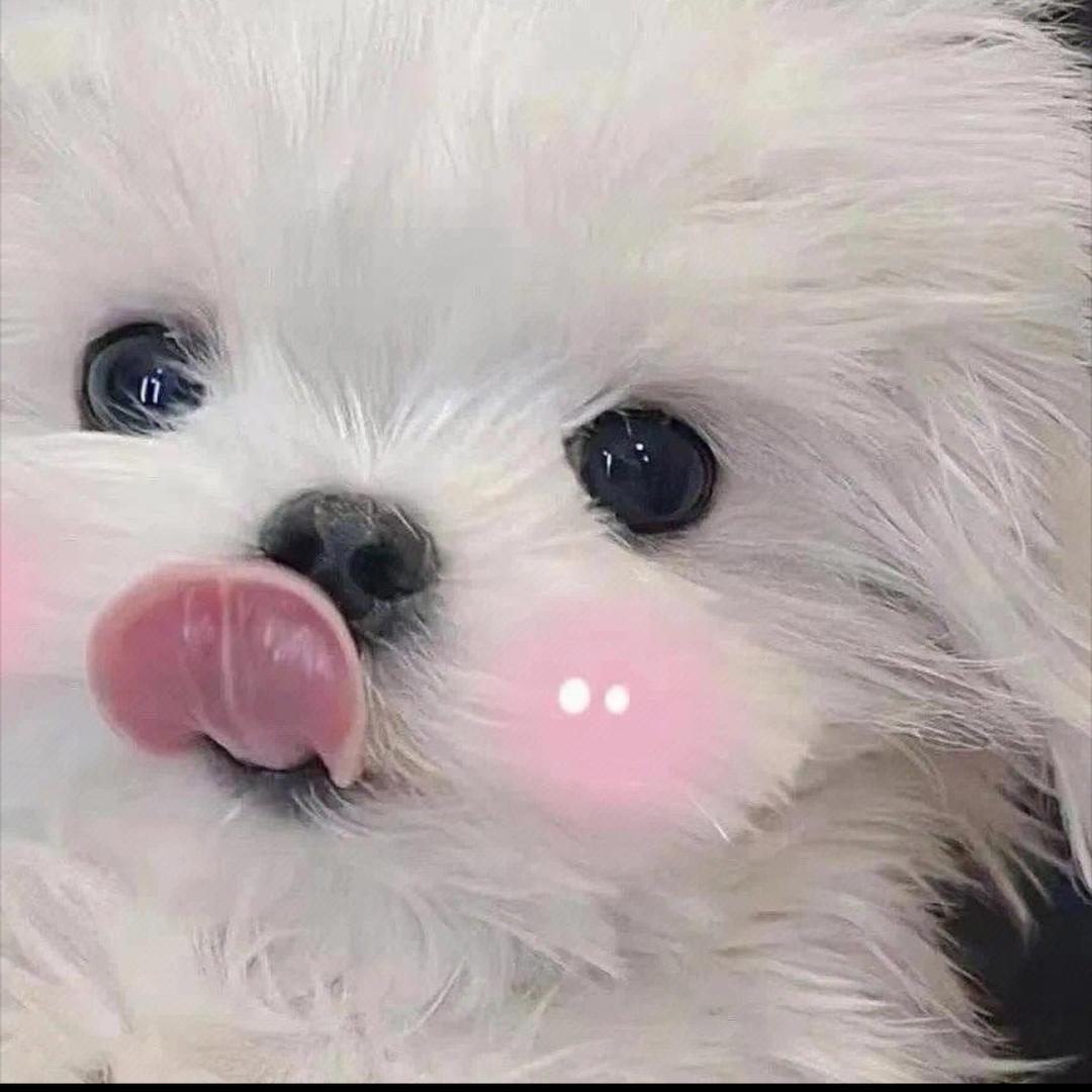 oio