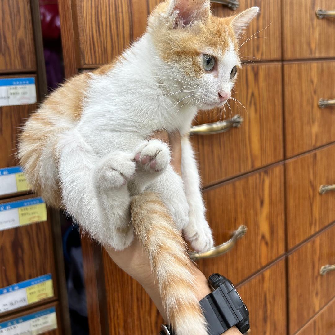 @骑山地车的Yang