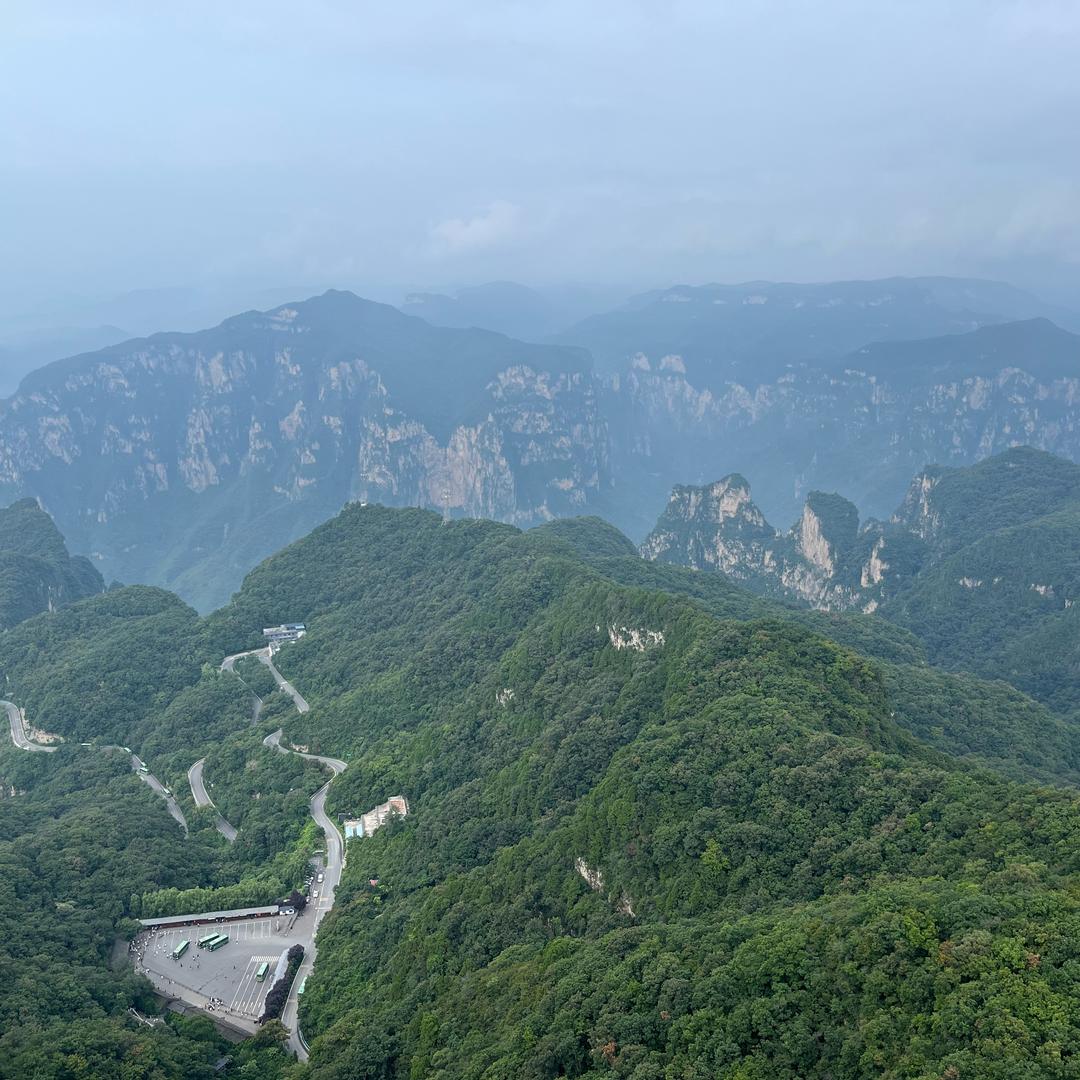 小冰果