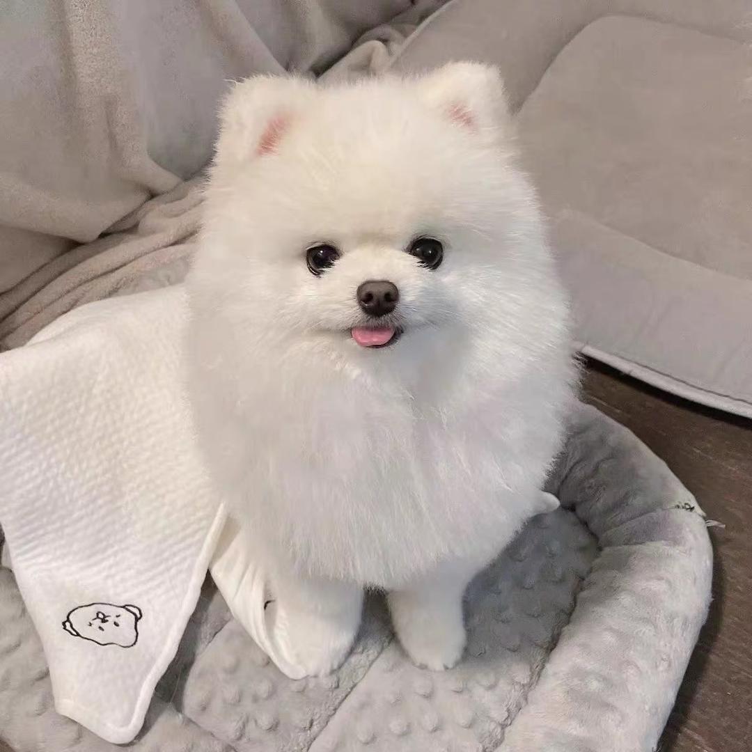 今天6）g g g h h