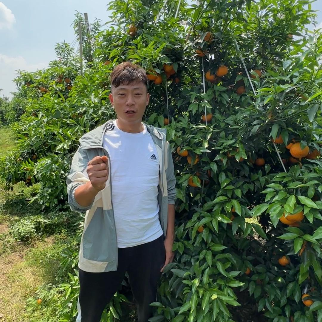 口水哥（全国到处跑招徒）