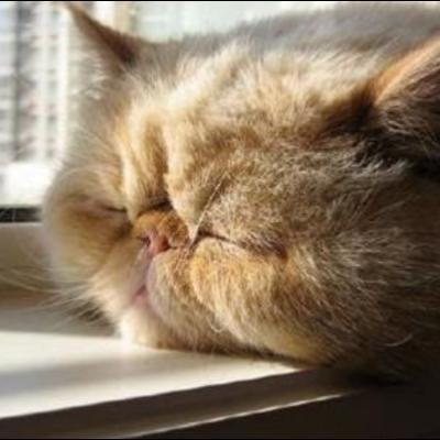 星每刻宠物食品旗舰店