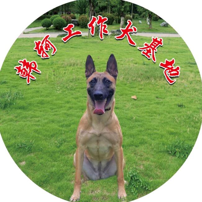 韩轲犬舍
