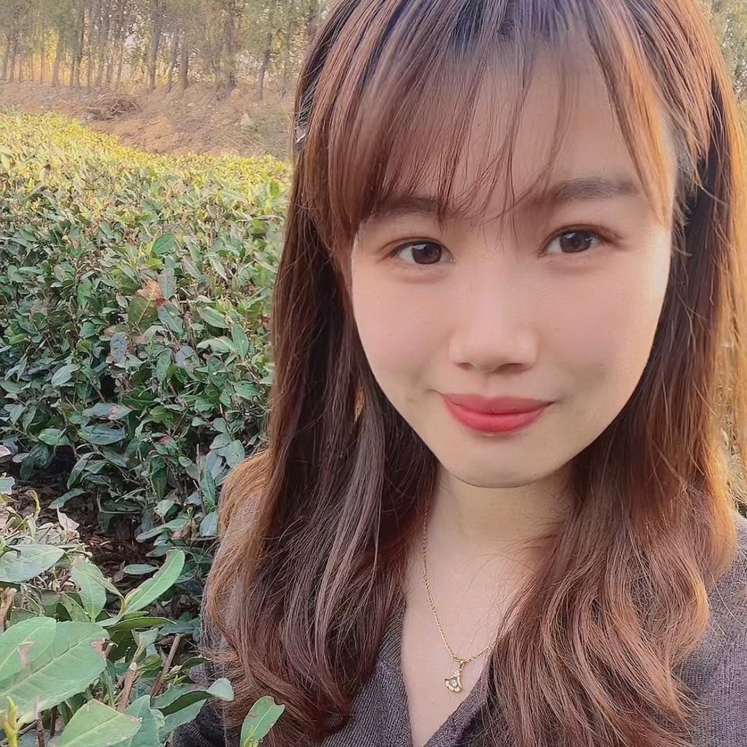 日照绿茶小盛