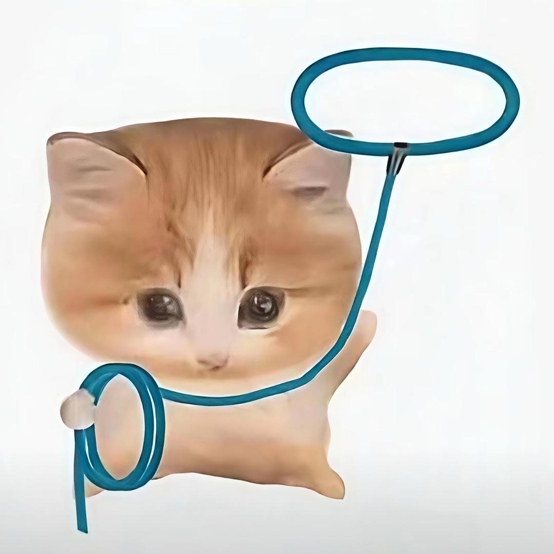 性感黑丝多情母蟑螂迷倒隔壁腹肌高冷公吗喽