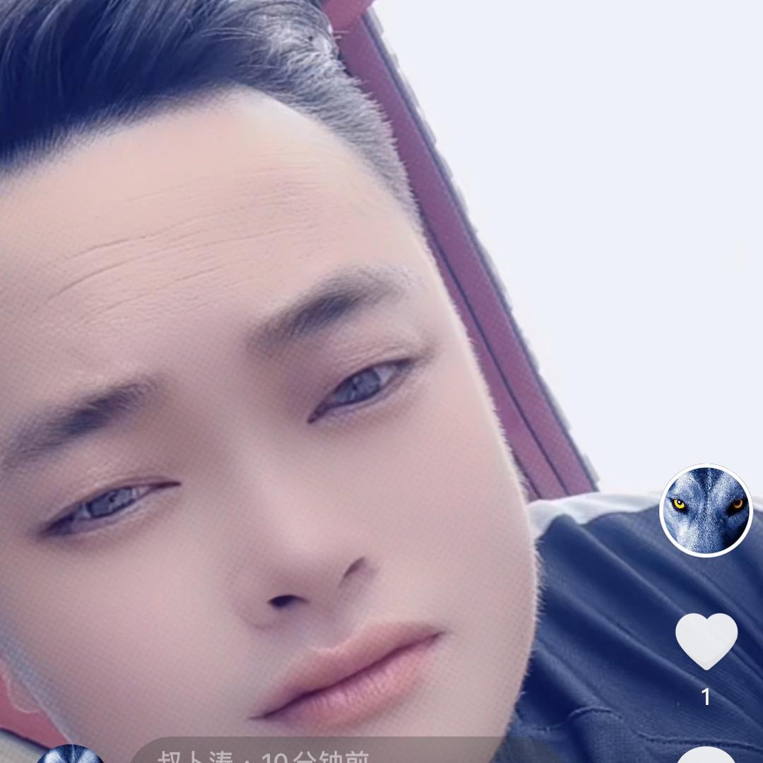 贞丰五星钻豹总代理🇨🇳🇨🇳