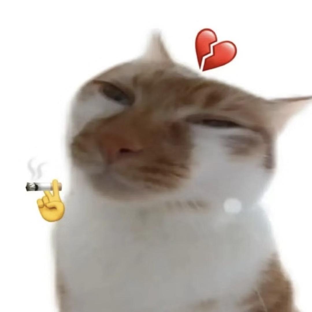 恺恺同学