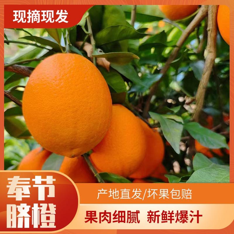 夔喜水果供应链