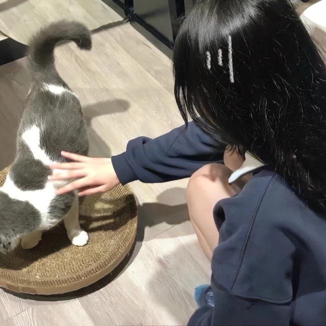 乐乐精选（优惠版）