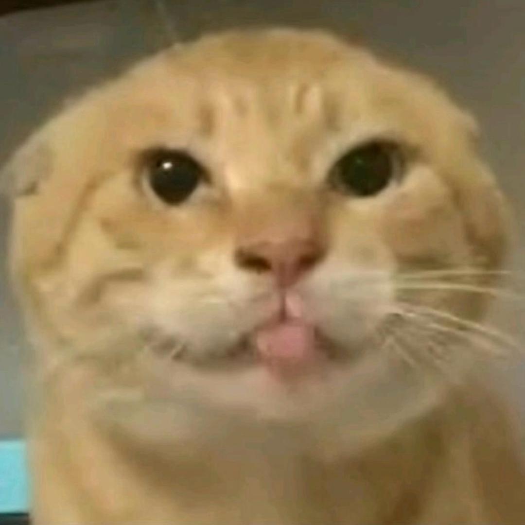 耄耋大王