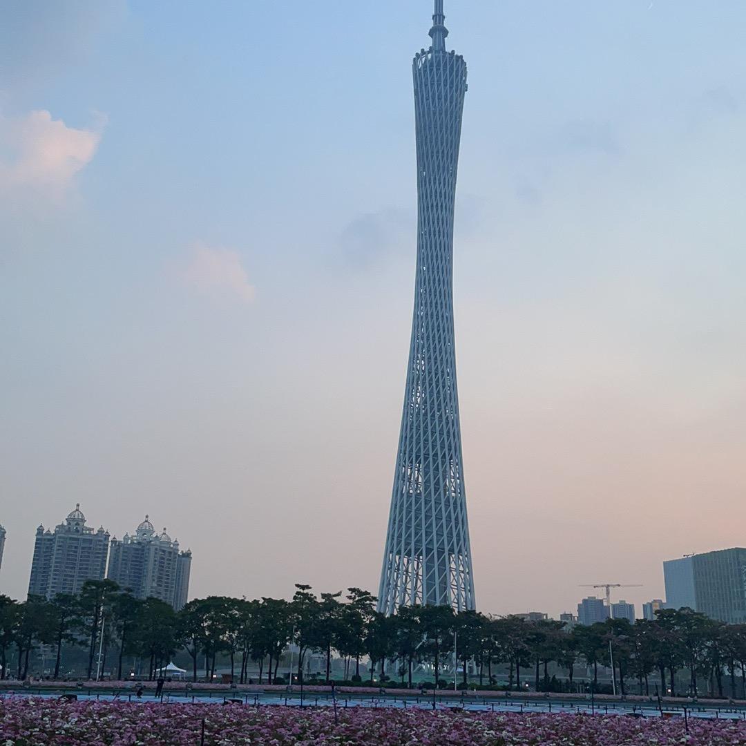 刺猬🚺🚺