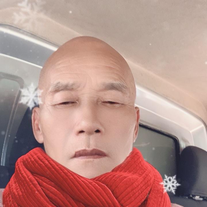 D宝