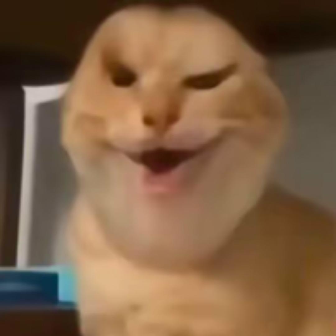 木黑黑黑嘿嘿嘿嘿