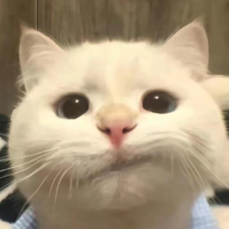 𝙯ᙆ.