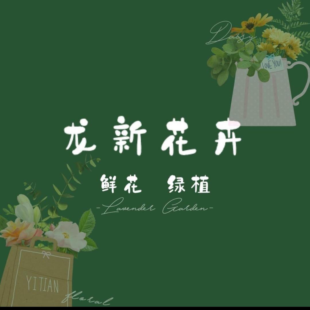 平舆·龙新花卉🌷