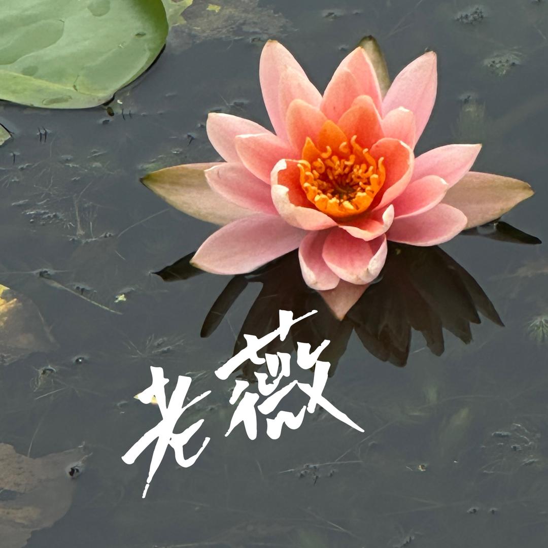 老薇