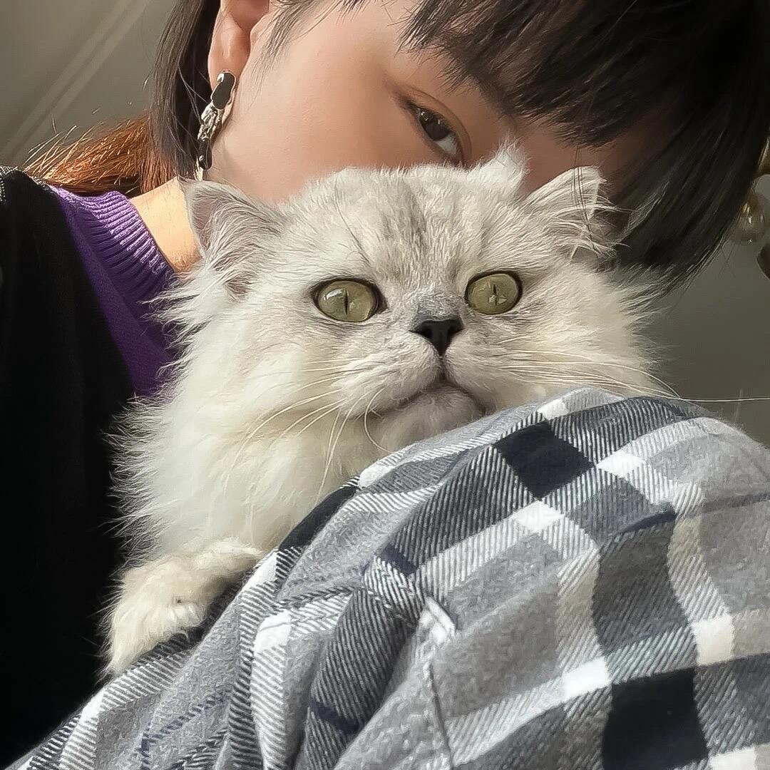 布蕾脆脆