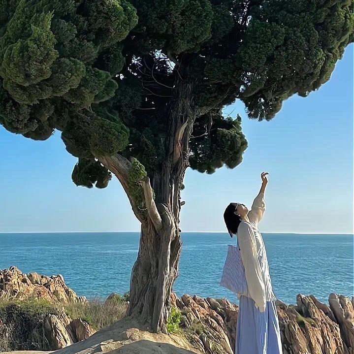 杨桃雪泥