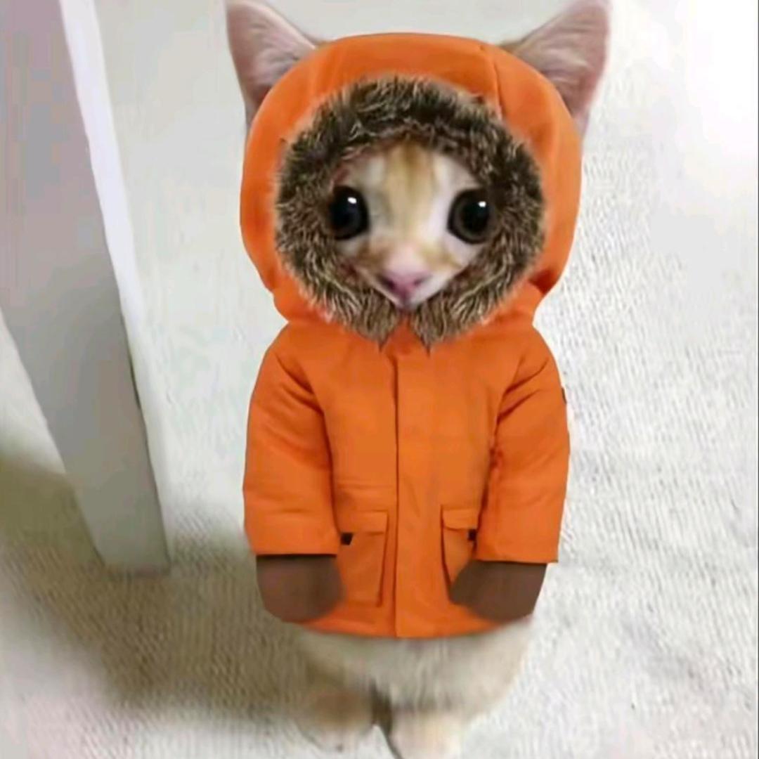 小麵包