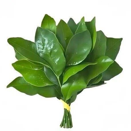 我恨钦州租车仔