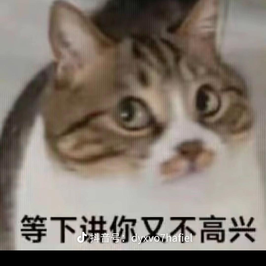 SH-跑腿小助理-柯南