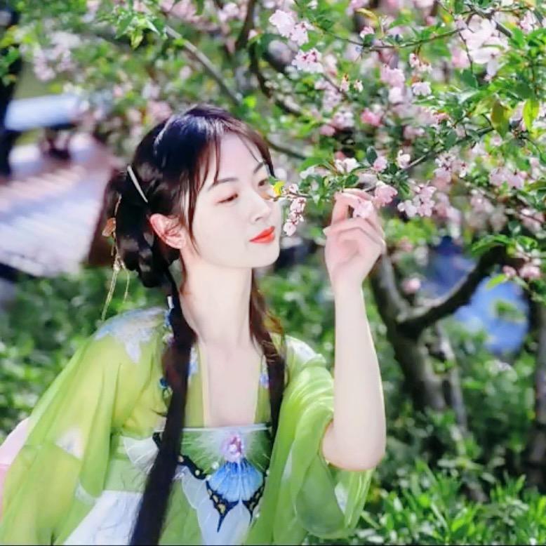 茉莉花开1299