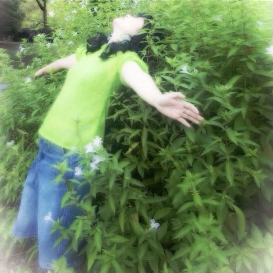不特别的花菜