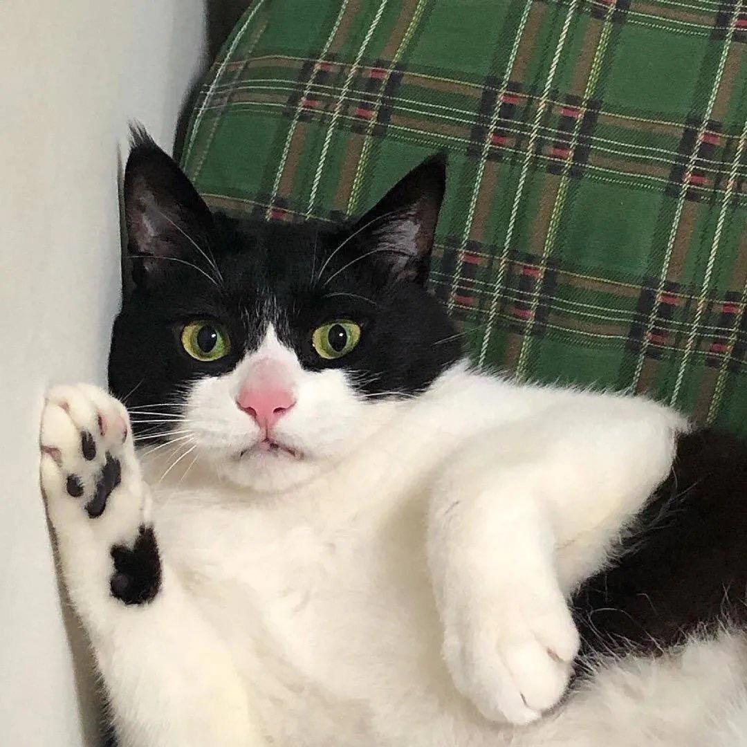 🎹钢琴女士🍃