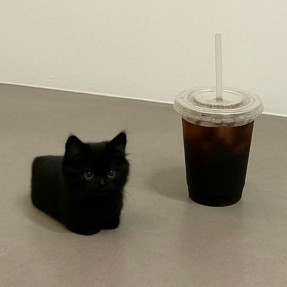 𝗿𝗶𝗰𝗼𝗼𝗹𝘀𝗮𝗺𝗮