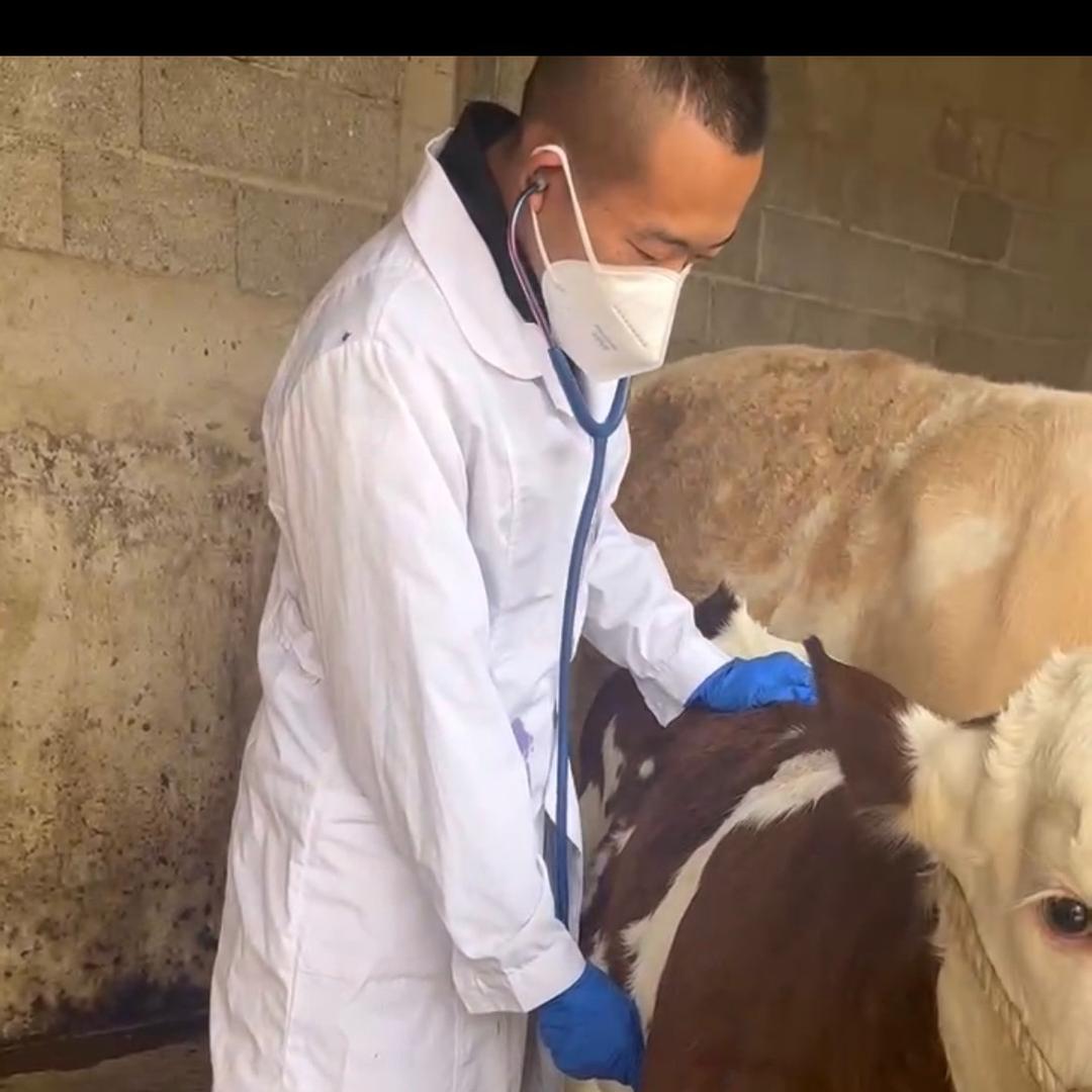90兽医小哥，牛人团队