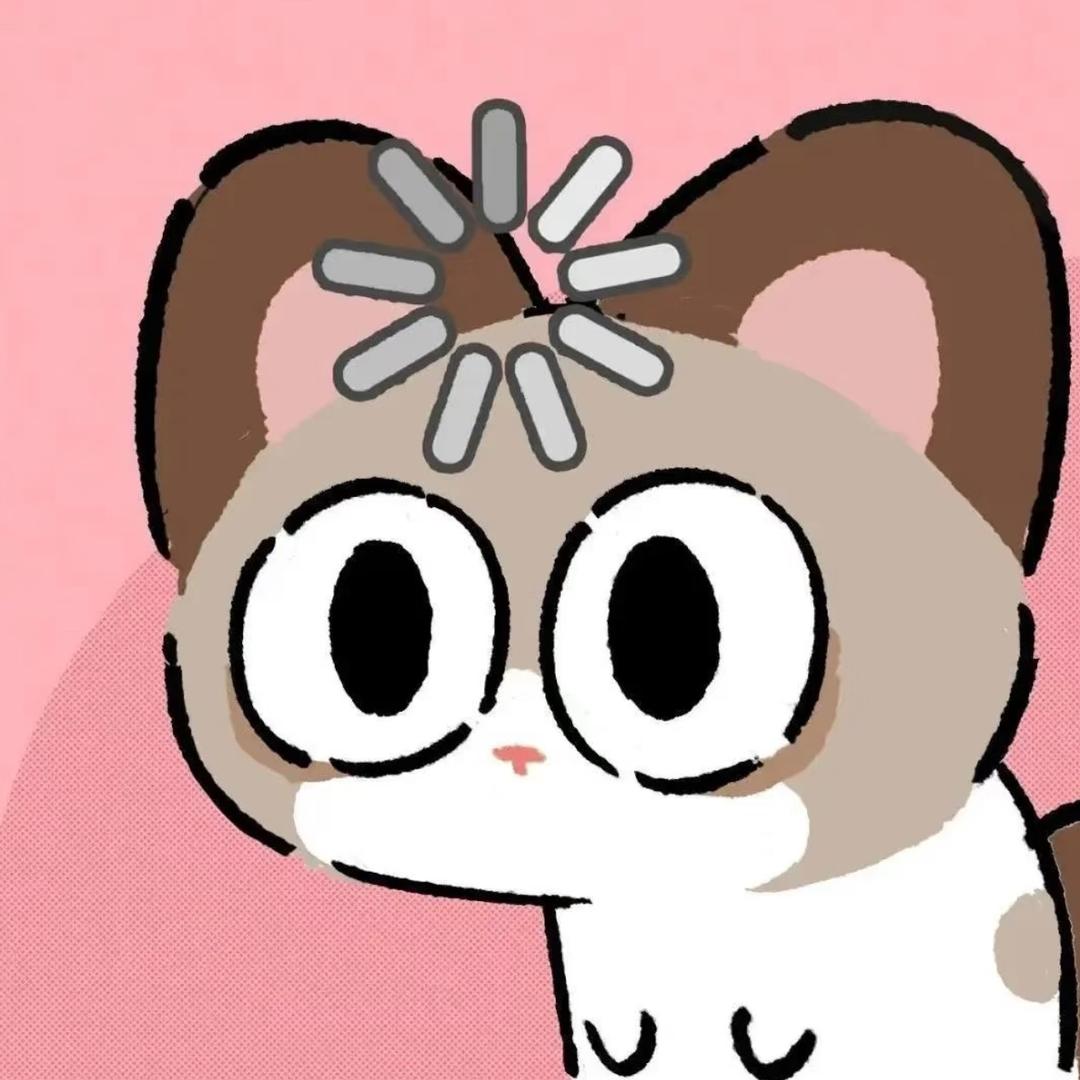 阿团日记