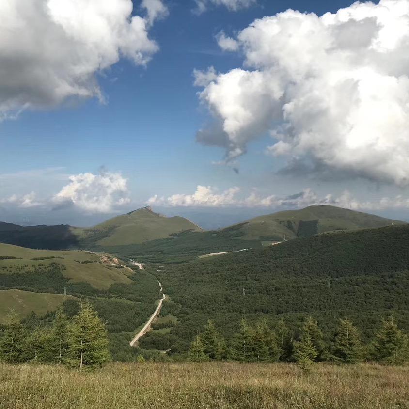 将军也曾在桃园午睡