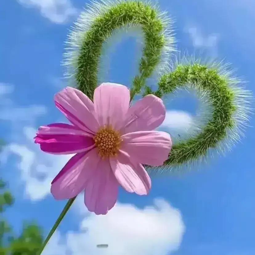 相识已是上上签