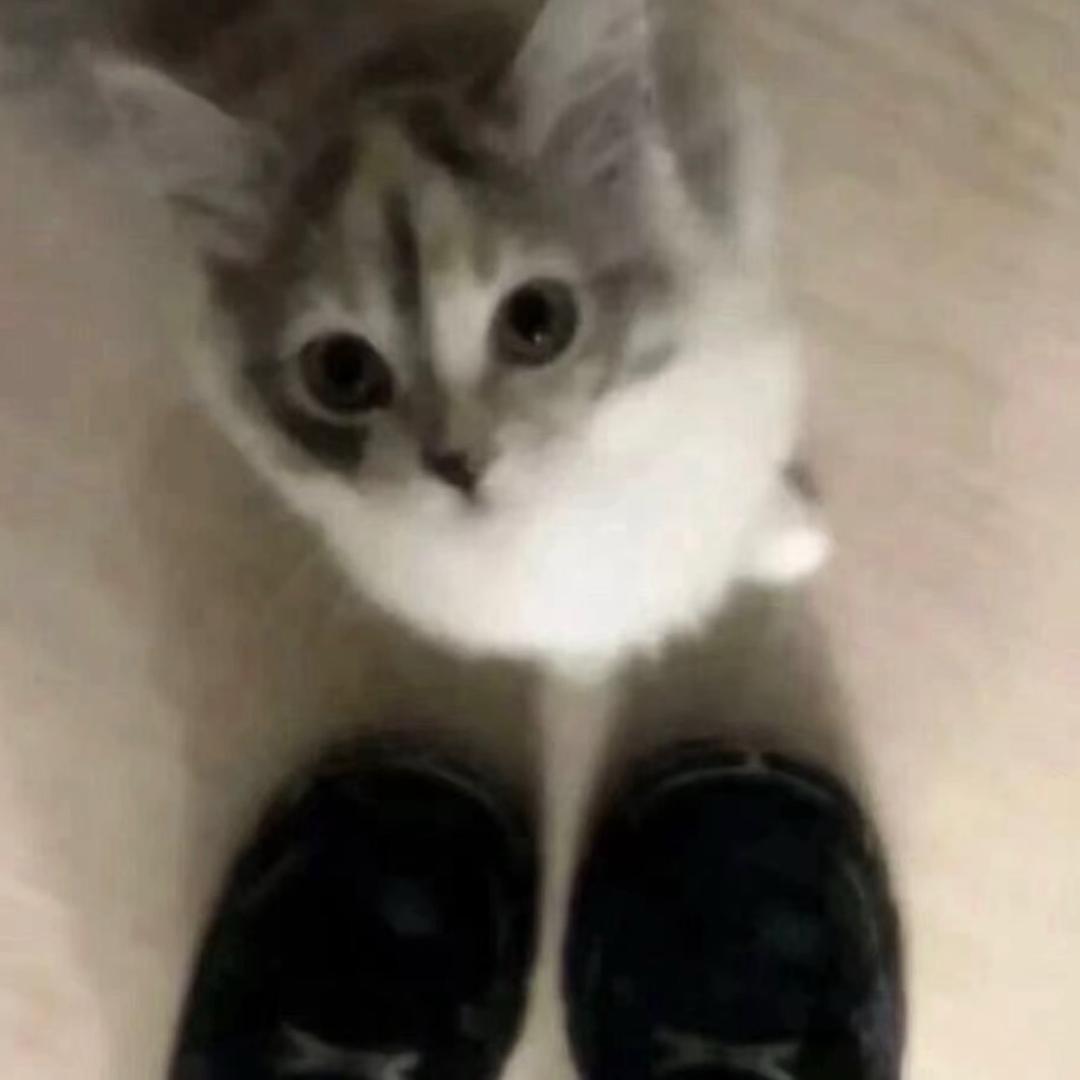 今天周几