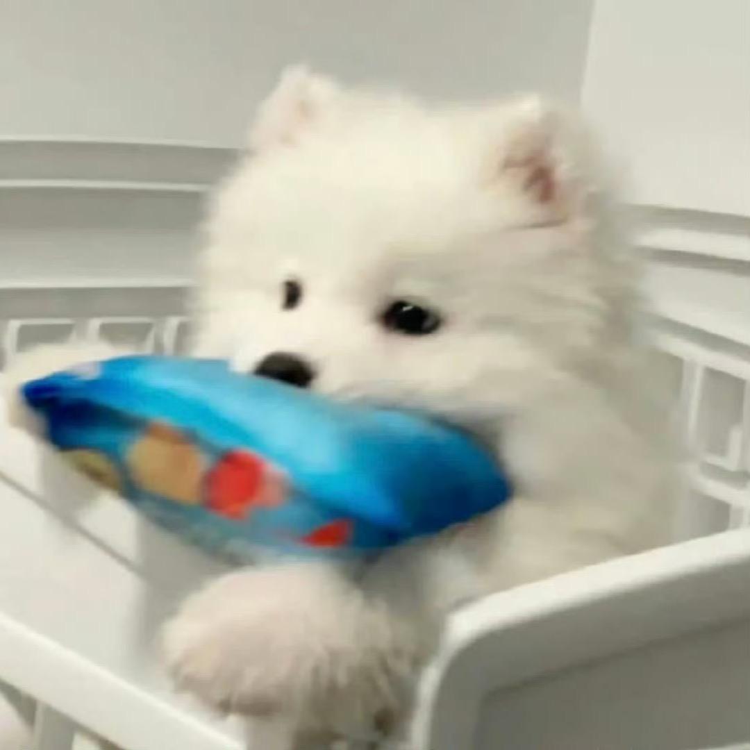 眼角有颗痣