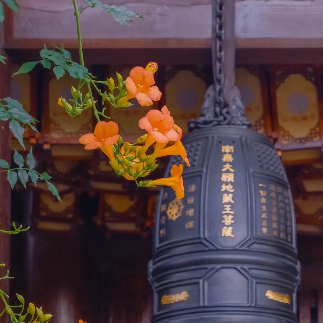 缘道