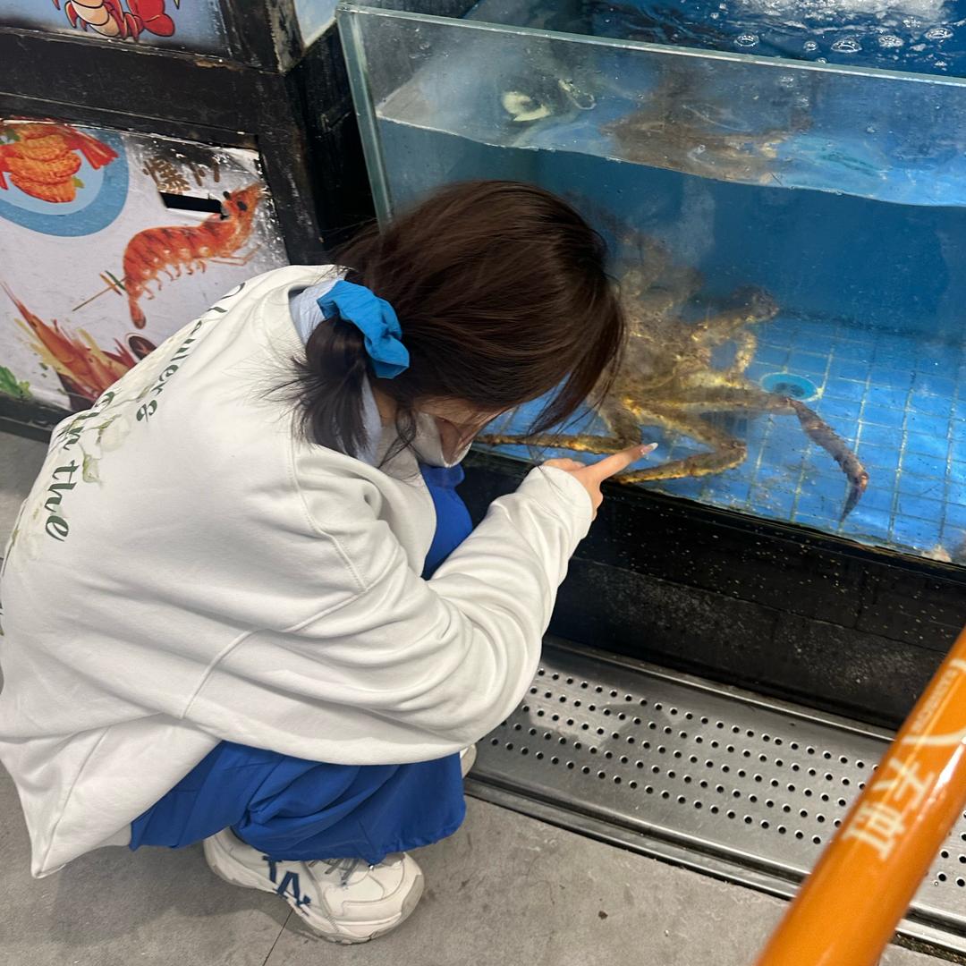白菜分八瓣儿