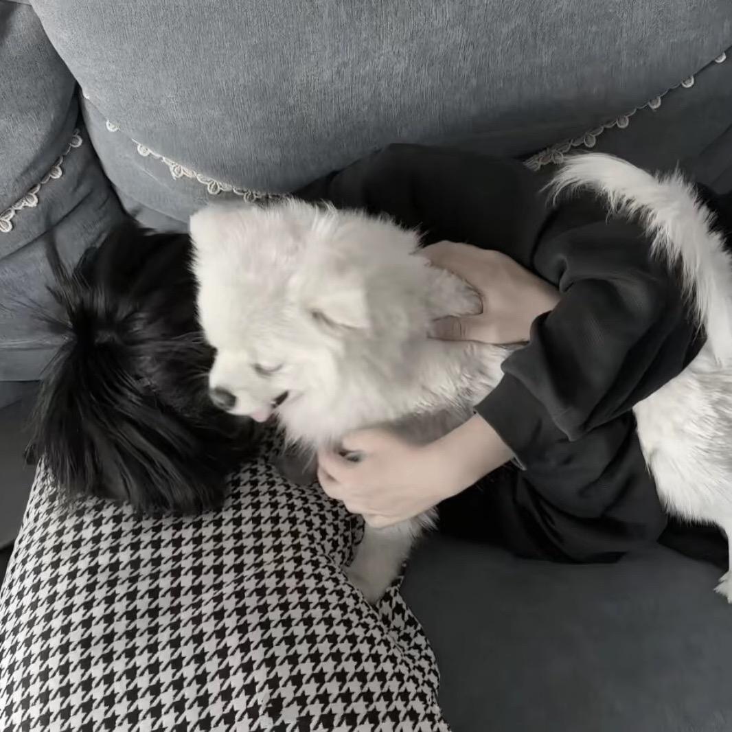 你干嘛总哭