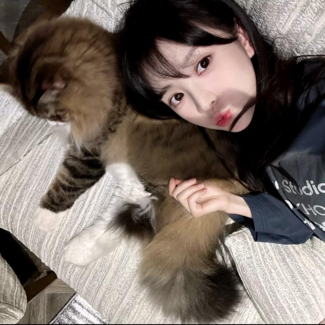 狗头星星