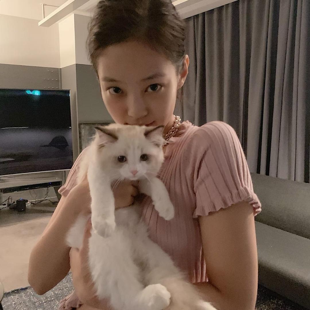 皇帝皇帝皇帝皇帝皇帝
