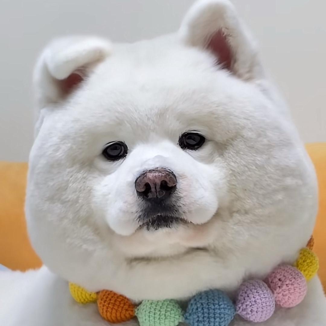 王者荣耀逐云