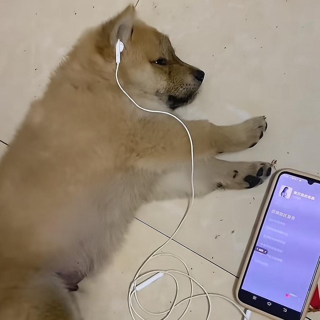 依然森涩儿