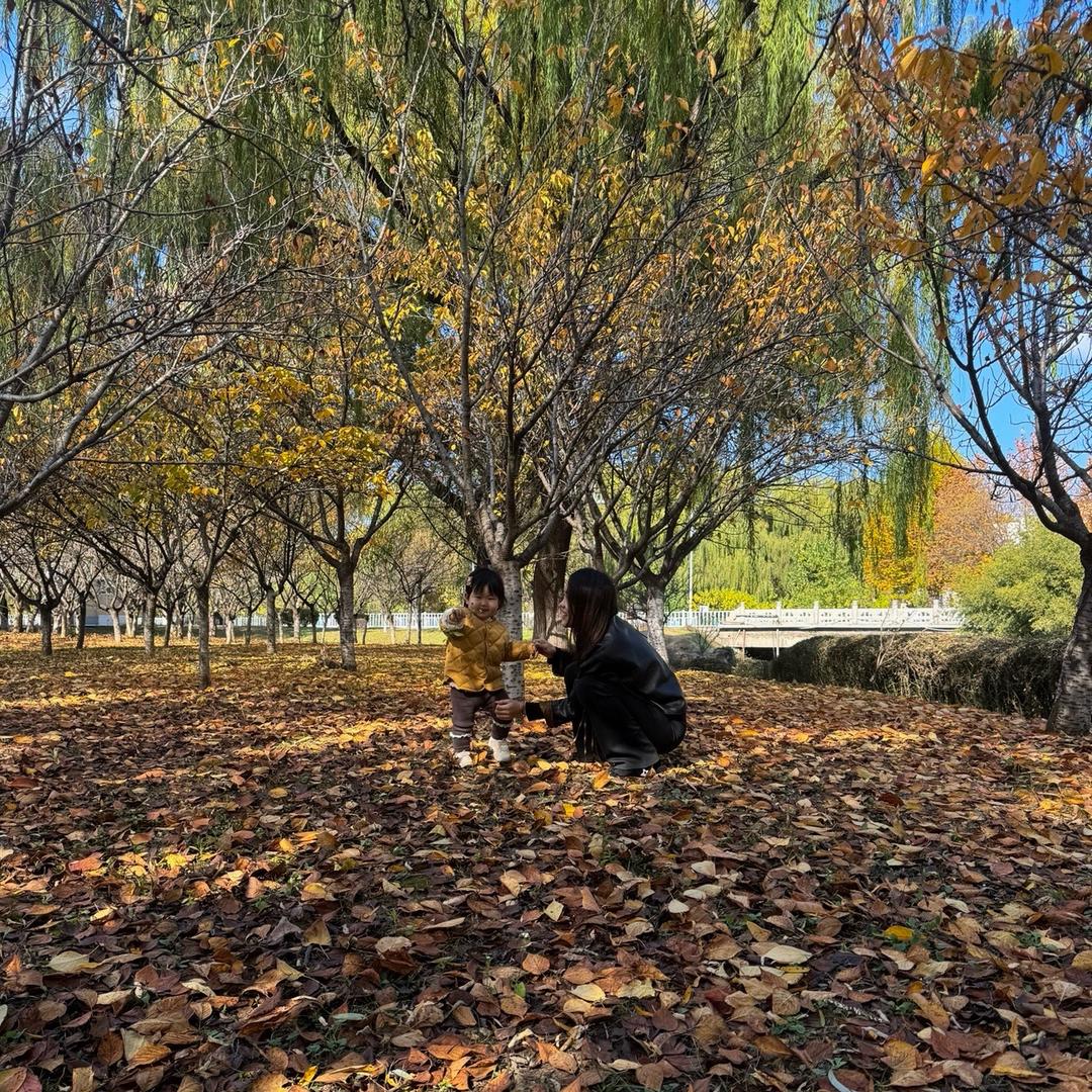 半盏清欢•