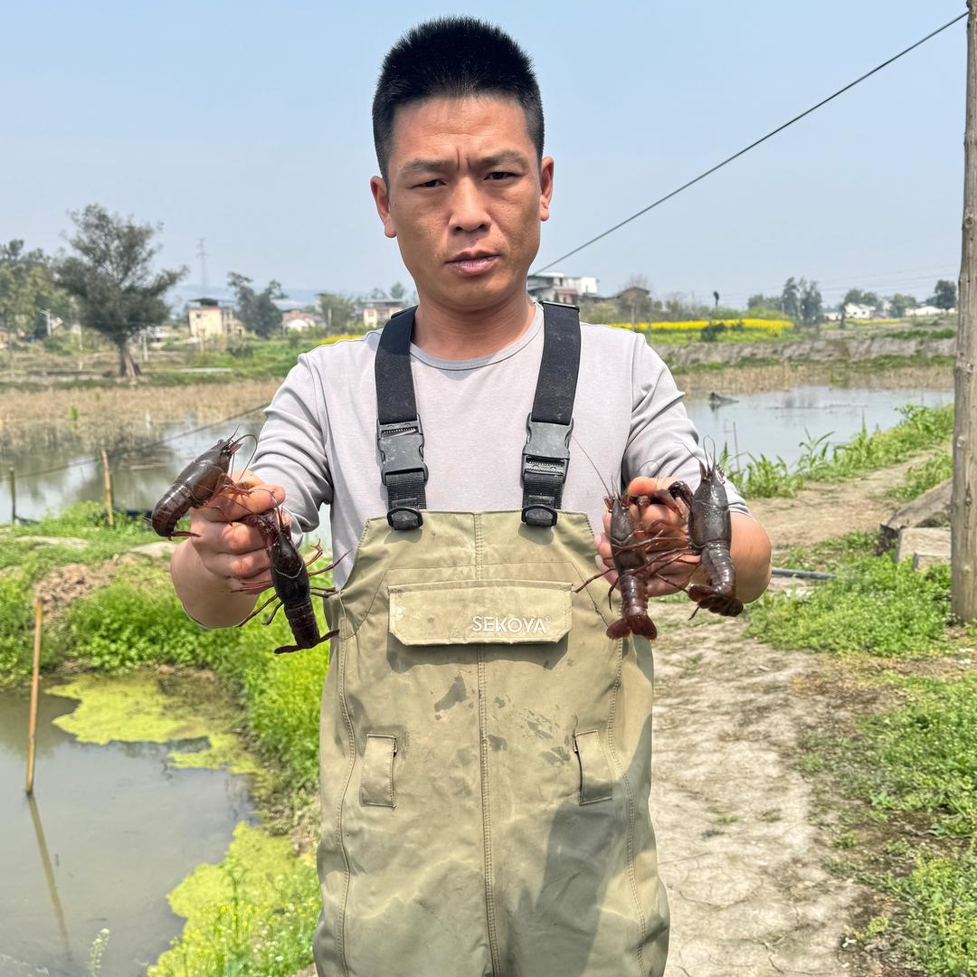 张建养虾人