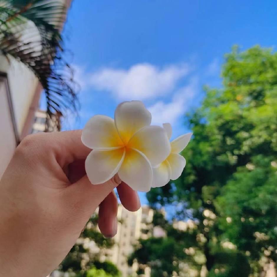🌻YUAN🌹