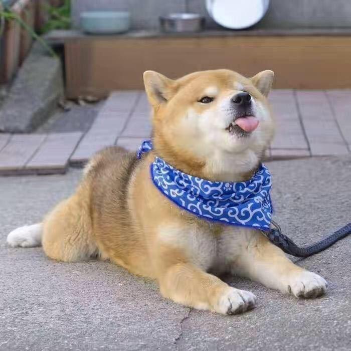 Kimi